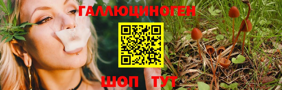 Галлюциногенные грибы Magic Shrooms  Вход с VPN  Псилоцибиновые грибы Magic Shrooms  Азнакаево 