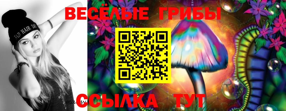 Псилоцибиновые грибы Psilocybe Азнакаево